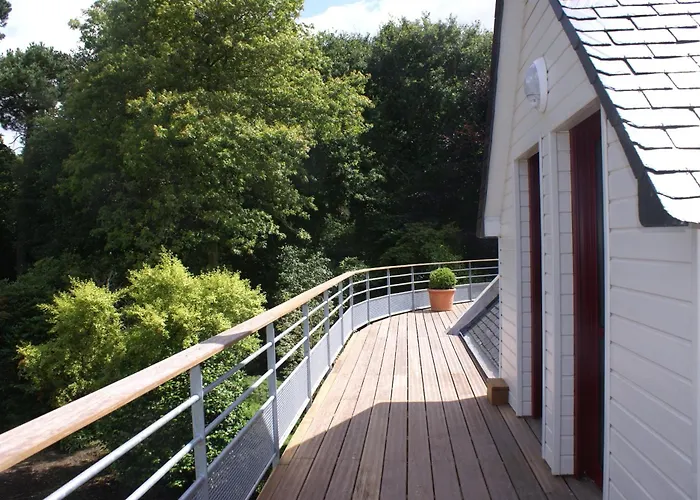 La Canopee Des Pins