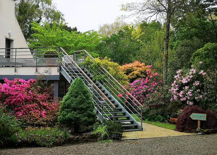 La Canopee Des Pins