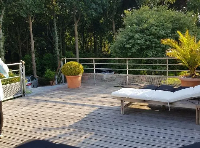 La Canopee Des Pins