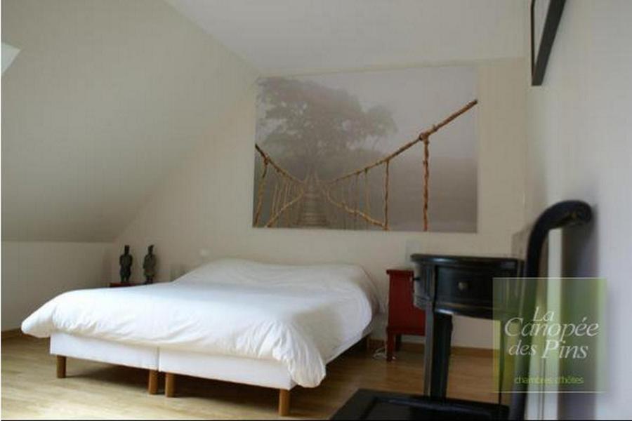 La Canopee Des Pins